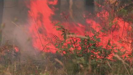 La Gironde est toujours ravagée par les flammes,&nbsp;mardi 19 juillet.&nbsp;Sofia&nbsp;Dollé&nbsp;fait le point sur les deux enquêtes menées par le parquet de Bordeaux concernant le déclenchement&nbsp;de&nbsp;ces impressionnants feux. (FRANCE 3)