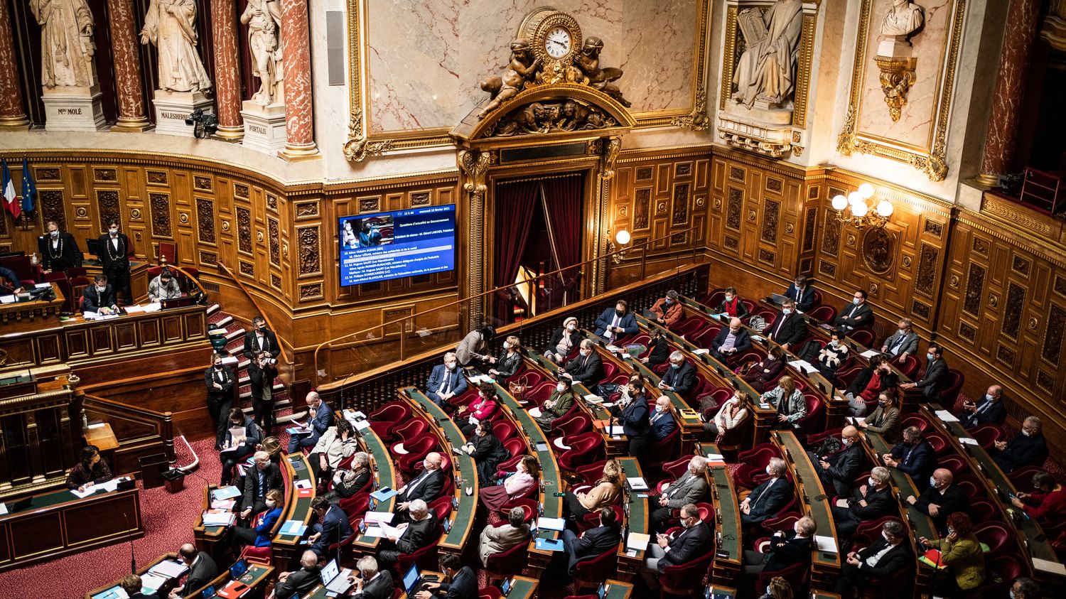 Elections Régionales Et Départementales : Le Sénat Approuve Massivement ...