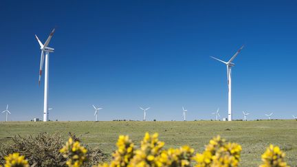 Des éoliennes sur l'île de Madère, au Portugal, le 12 mai 2014.&nbsp; (GUIZIOU FRANCK / HEMIS.FR / AFP)