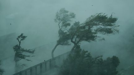 La Chine victime du super typhon Mangkhut