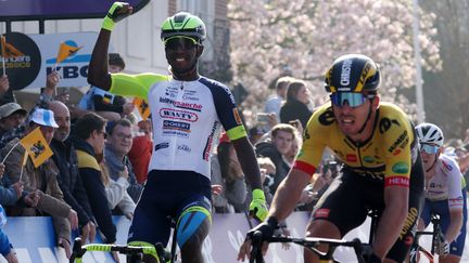 À 21 ans seulement, l'Érythréen&nbsp;Biniam Girmay (Intermarché - Wanty-Gobert Materiaux) lève les bras sur la classique flandrienne Gand-Wevelgem, dimanche 27 mars 2022. (KURT DESPLENTER / AFP)