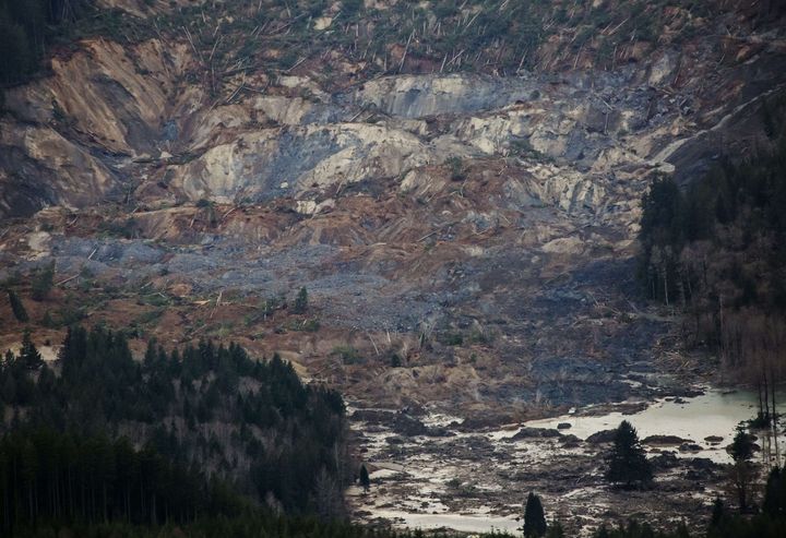 Le glissement de terrain a frapp&eacute; une route entre Arlington et Darrington, dans l'Etat de Washington (nord-ouest des Etats-Unis), le 22 mars 2014. (MARCUS YAM / AP /SIPA)