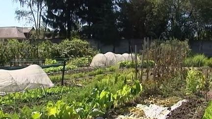 La passion du jardinage n'a pas d'âge