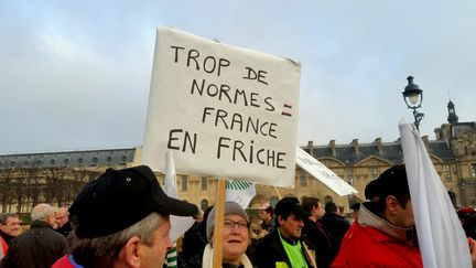 Près de 400 agriculteurs ont manifesté devant le Carroussel du Louvre, mardi 19 décembre 2017, à l'appel de la FNSEA.&nbsp; (BENJAMIN ILLY / RADIO FRANCE)