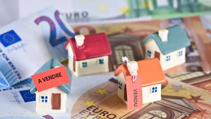 Immobilier : nouvelle baisse des taux d'intérêt