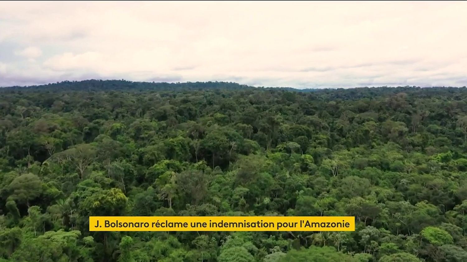 Jair Bolsonaro busca indenização pela preservação da Amazônia