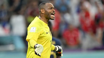 Le gardien français Steve Mandanda a annoncé prendre sa retraite internationale, le 14 janvier 2023. (MUSTAFA YALCIN / AFP)