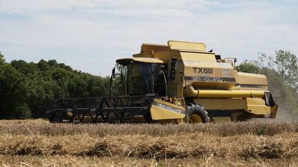 Un agriculteur travaille dans un champs de blé, à Montaigu-Vendée (Vendée), le 19 juillet 2022. (MATHIEU THOMASSET / HANS LUCAS / AFP)