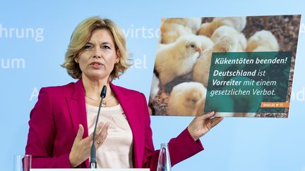 La ministre allemande de l'Agriculture Julia Klöckner présente un projet de loi contre l'abattage dans les élevages de poules pondeuses de millions de poussins mâles, le 9 septembre 2020 à Berlin. (BERND VON JUTRCZENKA / DPA / AFP)