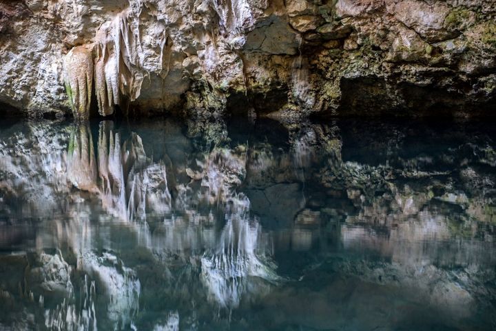 UNA "cenote" de Santa Cruz, México, el 24 de julio de 2021. (HUGO BORGES/AFP)