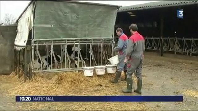 Lactalis Rompt Les Contrats D'agriculteurs Ayant Témoigné Sur France 2