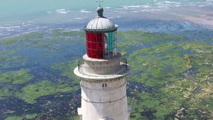 Gironde : le phare de Cordouan ouvre à nouveau après neuf ans de rénovation