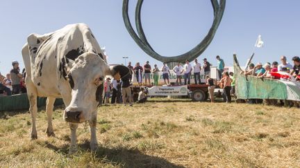 Manifestation des producteurs de lait devant l'usine Lactalis de Laval le 23 août 2016 (CHRISTIAN WATIER / MAXPPP)