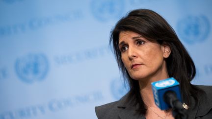 L'ambassadrice des Etats-Unis à l'ONU Nikki haley lors d'une conférence de presse à New York (Etats-Unis), le 2 janvier 2018. (DREW ANGERER / GETTY IMAGES NORTH AMERICA / AFP)