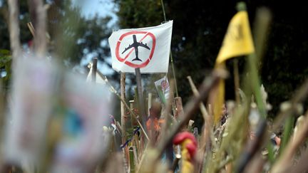 Une manifestation contre le projet de construction de l'aéroport de Notre-Dame-des-Landes (Loire-Atlantique), le 8 octobre 2016.&nbsp; (JEAN-SEBASTIEN EVRARD / AFP)