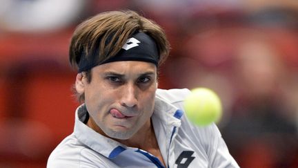 Le joueur espagnol, David Ferrer. (HERBERT NEUBAUER / APA)