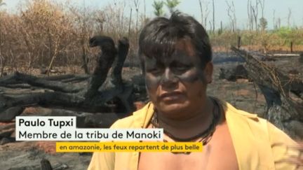 En Amazonie, les feux repartent de plus belle