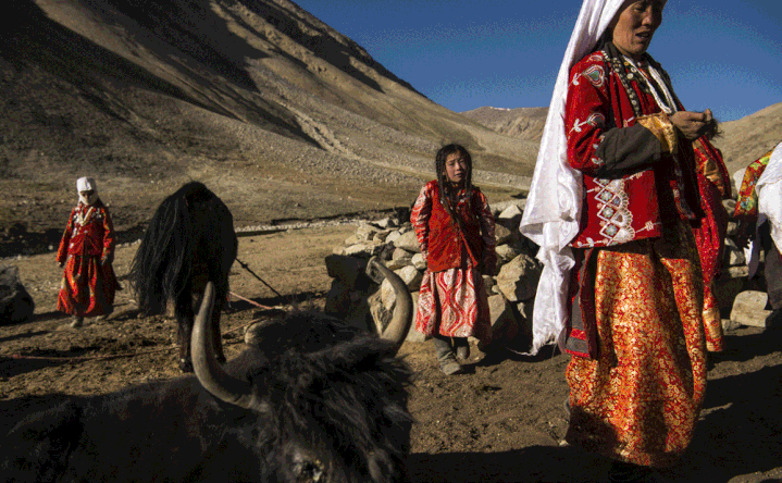 Les femmes du campement de Maqor s'occupent des yaks. (ANDREW QUILTY / GEO)