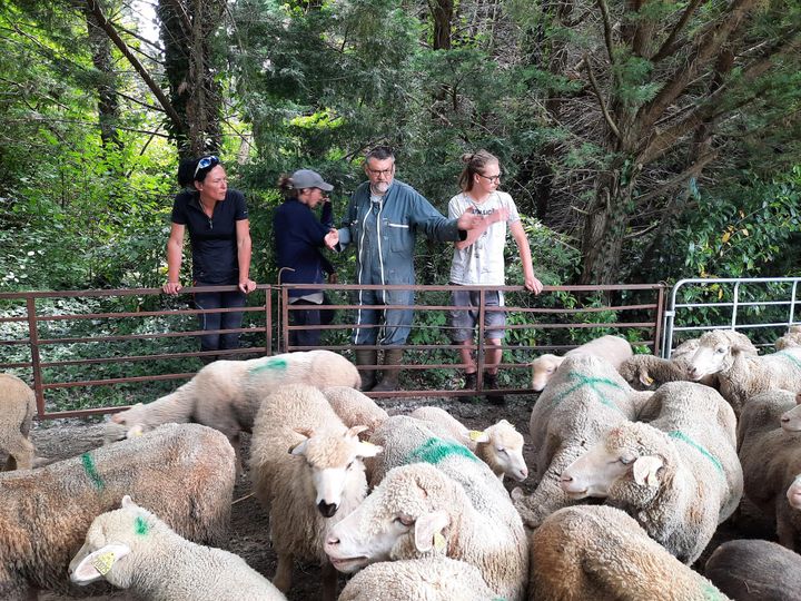 Yannick Croisière, formateur, et ses apprentis bergers, dans le centre de formation de&nbsp;Côte-Saint-André, en Isère, en mai 2022.&nbsp; (JEROME JADOT / RADIO FRANCE)