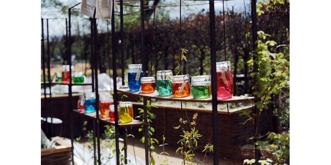 Le Festival des jardins de Chaumont-sur-Loire fête ses vingt ans
 (Alain Jocard / AFP)