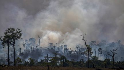 De la fumée s'étire au dessus de la forêt dans le bassin de l'Amazone, au Brésil, le 27 août 2019. (JOAO LAET / AFP)