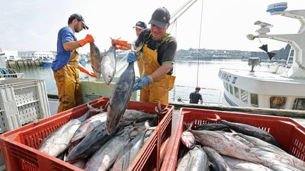 Des pêcheurs débarquent sur le port de pêche de Concarneau (Finistère). (FRANCOIS DESTOC / MAXPPP)