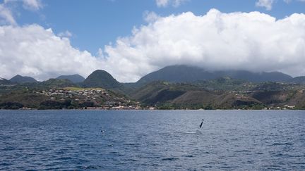 La Martinique se met en ordre de marche pour profiter de l'impulsion des Jeux de Paris 2024, photo d'illustration. (SEBASTIAN KAHNERT / DPA)