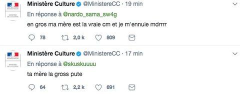 Capture d'écran du compte du ministère de la Culture, mardi 18 juillet. (TWITTER / FRANCEINFO)