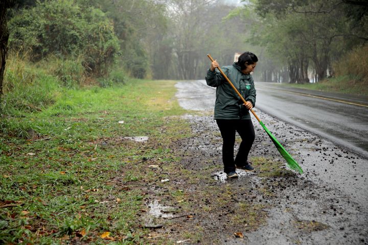 Madalena Oliveira ramasse des semences dans la forêt atlantique, le 14 septembre 2022 à Socorro (Brésil).&nbsp; (VALENTINE PASQUESOONE / FRANCEINFO)