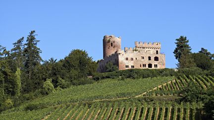 Le château de Kintzheim dans le Bas-Rhin. (ZYLBERYNG DIDIER / HEMIS.FR)