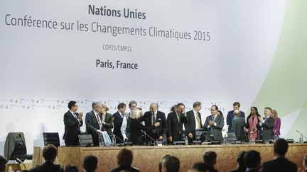 Conférence finale de la COP21 à Paris, le 12 décembre 2015. (ZHOU LEI / XINHUA)