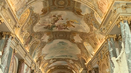 La salle des Illustres du Capitole de Toulouse célèbre l'histoire de la ville et ses personnages célèbres
 (Culturebox / Capture d&#039;écran)