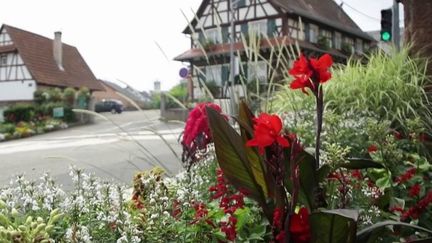 Sécheresse : en Alsace, les communes s'adaptent pour garder leurs distinctions de villages fleuris (France 2)