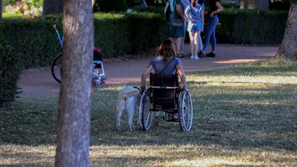 Une jeune femme en situation de handicap a porté plainte à Castres (Tarn) après avoir été empêchée d'entrer dans un salon de thé par le gérant. (photo d'illustration) (JULIO PELAEZ / MAXPPP)