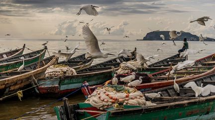 Bukoba, Tanzanie. À l’affût du moindre dagaa (minuscule poisson) oublié par les femmes traditionnellement en charge du séchage et de la vente, de grandes aigrettes blanches rôdent autour des bateaux de pêche amarrés sur la plage. On voit au large Musira, une île-prison au temps des royautés précoloniales. (FREDERIC NOY)