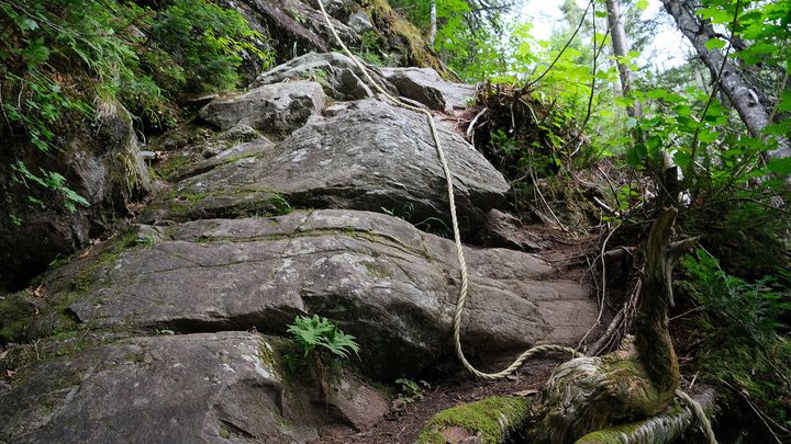 Montée sur le Sentier international des Appalaches (SIA) (KATIA ASTAFIEFF)