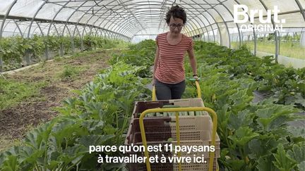 Cette ferme, c'est l'histoire de onze amis qui ont décidé de devenir paysans et de s'unir pour créer un modèle d'agriculture cohérent. Bienvenue à la Ferme collective de la Tournerie dans le Limousin.