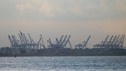 Les grues utilisées pour les conteneurs d'expédition s'élèvent du port de Newark, le 30 septembre 2024, à New York. (SPENCER PLATT / GETTY IMAGES NORTH AMERICA / AFP)