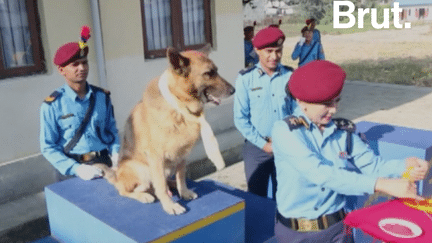 Une cérémonie religieuse qui a du chien