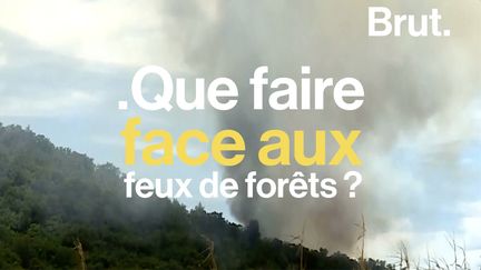 Chaque été, ils ravagent des milliers d'hectares de forêt. Pourtant, ils peuvent souvent être évités. Voici comment prévenir les incendies, et comment s'en protéger.