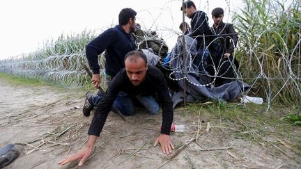 &nbsp; (Des migrants en train de passer la frontière entre la Serbie et la Hongrie © REUTERS / Laszlo Balogh)