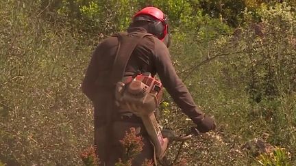 Var : débroussailler pour éviter les incendies