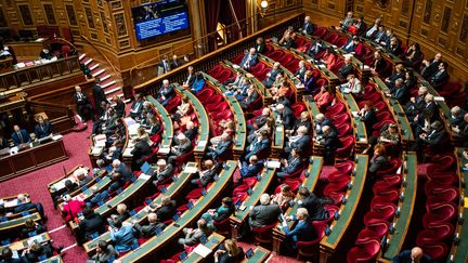 L'hémicycle du Sénat, à Paris, le 22 mars 2023. (XOSE BOUZAS / HANS LUCAS / AFP)