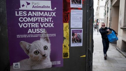 Municipales : l’attrait des politiques pour la cause animale