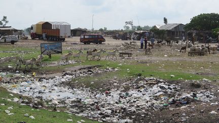 Un point d'eau recouvert de sachets&nbsp;plastiques au&nbsp;marché aux moutons de Djeffa à quelques kilomètres de Cotonou, la capitale économique du Bénin.&nbsp; &nbsp; (DELPHINE BOUSQUET / RADIO FRANCE)