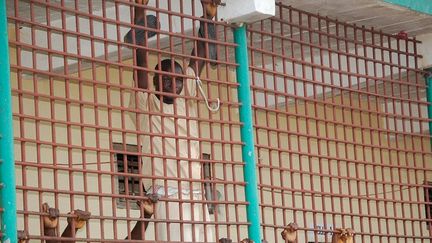 La prison de Mafanta, l'une des 8 prisons surpeuplées de la Sierra Leone. (SAIDU BAH / AFP)