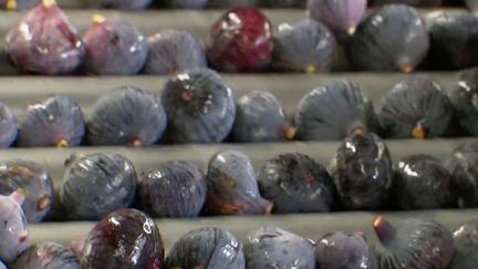 Consommation : la figue "violette de Solliès" désormais protégée