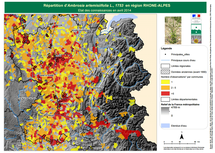 R&eacute;partition de l'ambroisie en avril 2014 en r&eacute;gion Rh&ocirc;ne-Alpes, l'une des plus touch&eacute;es de France. (OBSERVATOIRE DES AMBROISIES / MINISTERE DE LA SANTE)