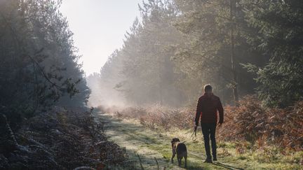 Passer plus de temps dans la nature procure d’importants bénéfices, même dans un petit jardin en ville. L'hormone du stress baisse dès 5 mn de marche. (JUSTIN PAGET / DIGITAL VISION / GETTY IMAGES)