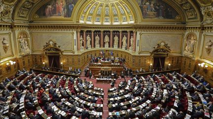 L'hémicycle du Sénat, à Paris, le 10 janvier 2019.&nbsp; (ERIC BERACASSAT / ONLY FRANCE / AFP)